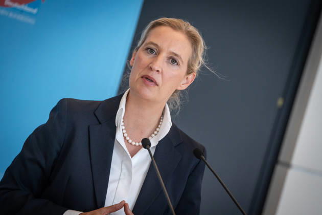 Alice Weidel, AfD Party and Parliamentary Group Chair Press statement by the two party chairs and parliamentary group chairs of the AfD before the start of the parliamentary group meeting in the German Bundestag, Berlin, Berlin, Germany, Bundestag