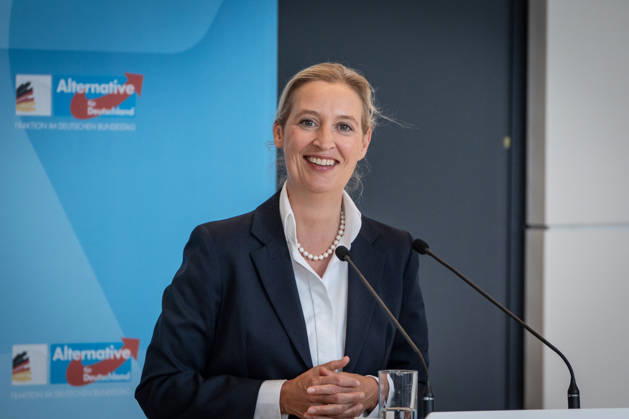 Alice Weidel, AfD Party and Parliamentary Group Chair Press statement by the two party chairs and parliamentary group chairs of the AfD before the start of the parliamentary group meeting in the German Bundestag, Berlin, Berlin, Germany, Bundestag