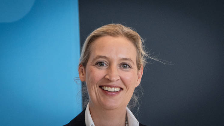Alice Weidel, AfD Party and Parliamentary Group Chair Press statement by the two party chairs and parliamentary group chairs of the AfD before the start of the parliamentary group meeting in the German Bundestag, Berlin, Berlin, Germany, Bundestag