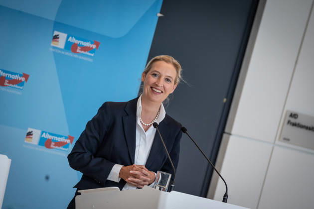 Alice Weidel, AfD Party and Parliamentary Group Chair Press statement by the two party chairs and parliamentary group chairs of the AfD before the start of the parliamentary group meeting in the German Bundestag, Berlin, Berlin, Germany, Bundestag