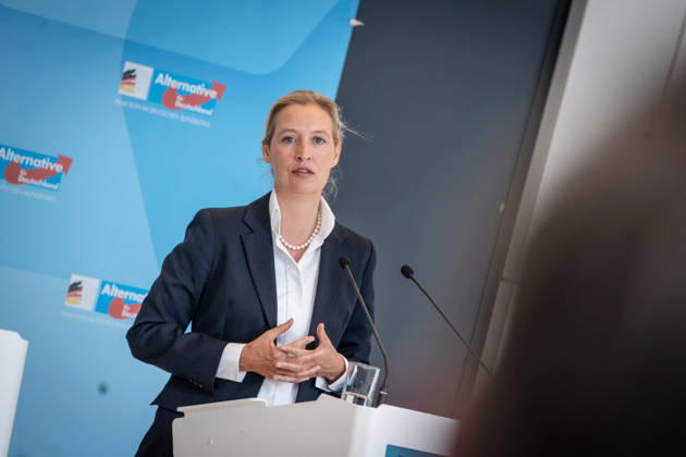 Alice Weidel, AfD Party and Parliamentary Group Chair Press statement by the two party chairs and parliamentary group chairs of the AfD before the start of the parliamentary group meeting in the German Bundestag, Berlin, Berlin, Germany, Bundestag