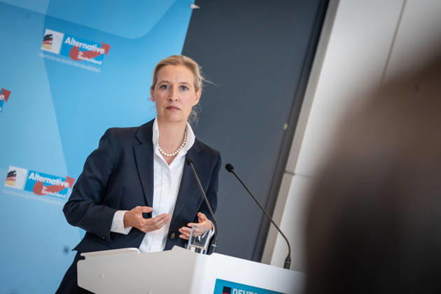 Alice Weidel, AfD Party and Parliamentary Group Chair Press statement by the two party chairs and parliamentary group chairs of the AfD before the start of the parliamentary group meeting in the German Bundestag, Berlin, Berlin, Germany, Bundestag