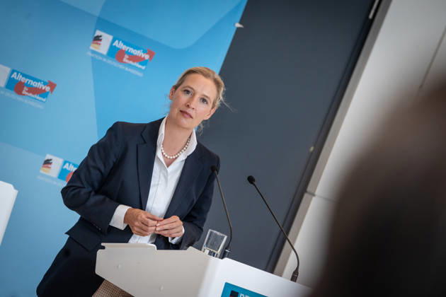Alice Weidel, AfD Party and Parliamentary Group Chair Press statement by the two party chairs and parliamentary group chairs of the AfD before the start of the parliamentary group meeting in the German Bundestag, Berlin, Berlin, Germany, Bundestag