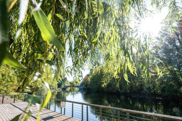 Sunshine Instead of Autumn Gray: Kehl Enjoys Mild October Weather; Sunny and, for this time of year, mild autumn weather on W Copyright: x xonw-imagesx x-x