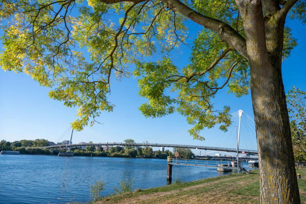 Sunshine Instead of Autumn Gray: Kehl Enjoys Mild October Weather; Sunny and, for this time of year, mild autumn weather on W Copyright: x xonw-imagesx x-x