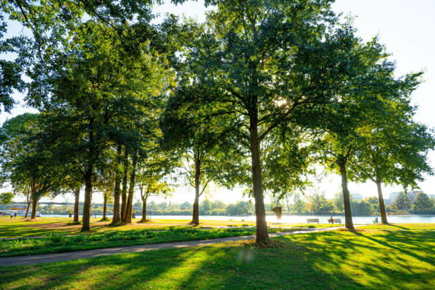 Sunshine Instead of Autumn Gray: Kehl Enjoys Mild October Weather; Sunny and, for this time of year, mild autumn weather on W Copyright: x xonw-imagesx x-x