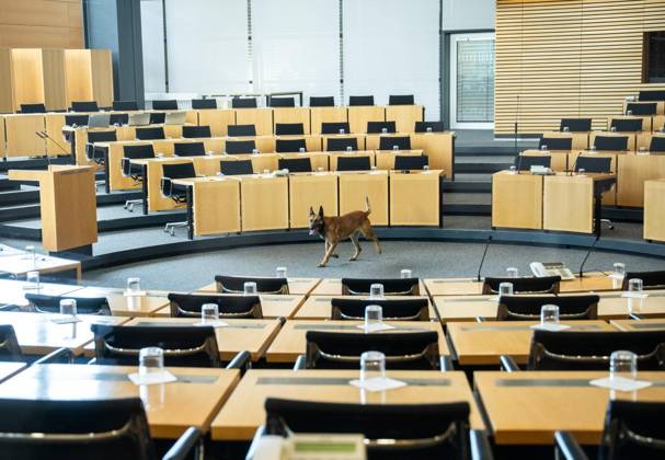 8 THURINGIAN STATE PARLIAMENT 55TH PLENARY SESSION ** FOR EDITORIAL USE ONLY ** EDITORIAL USE ONLY ** Oct. 7, 2026, Erfurt, Thuringian State Parliament, 8th Legislative Session, 55th Plenary Session (photo): A police sniffer dog during a search in the plenary hall, Germany, Thuringia, Erfurt. Copyright SaschaxFromm Copyright: SaschaxFromm doc87xem2mljt3uprj2g26 ,EDITORIAL USE ONLY Copyright: SaschaxFromm