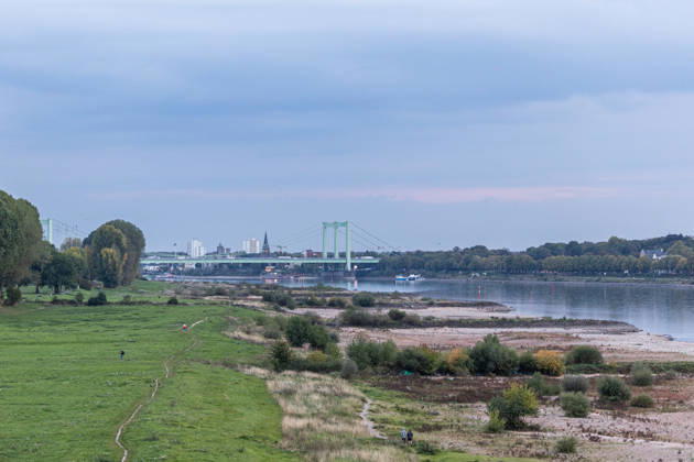 Low Water on the Rhine: Dry Riverbed in Front of the Rodenkirchen Bridge (A4) 07 10 26 View from the Eisenbahn Südbrücke in Cologne, looking upstream toward the south at the Rodenkirchen Highway Bridge (A4). In the foreground, the riverbed i Copyright: xMarcxJohnx