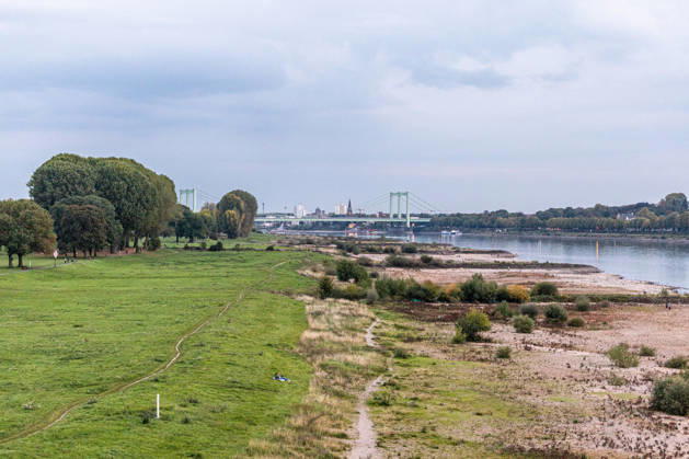 Low Water on the Rhine: Dry Riverbed in Front of the Rodenkirchen Bridge (A4) 07 10 26 View from the Eisenbahn Südbrücke in Cologne, looking upstream toward the south at the Rodenkirchen Highway Bridge (A4). In the foreground, the riverbed i Copyright: xMarcxJohnx