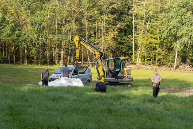 250-kg World War II Bomb Found in City Forest; Demolition Necessary on the Same Day On Wednesday, October 7, 2