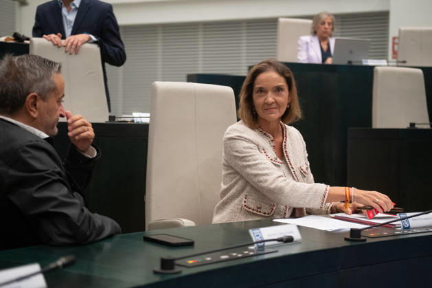 The Madrid City Council holds a special plenary session to approve two plans to increase housing. The PSOE spokesperson on the City Council, Reyes Maroto, during a special plenary session at the Palacio de Cibeles on October 8, 2026, in Madrid, Spain. The Madrid City Council is holding a special plenary session to give the green light to two special plans initially approved by the Governing Board, which will allow for the establishment of any type of lodging—including aparthotels, flex living, guesthouses, or lodging facilities on more than 240 industrial-use lots spread across eight districts of the capital, and the one that amends municipal regulations to allow for the development of affordable rental housing not only on plots zoned for  Copyright: xFernandoxSanchezx 7827612