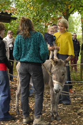 Queen Mathilde Visits Winners Of the 2026 Queen Mathilde Prize GREZ-DOICEAU, BELGIUM - OCTOBER 08: Queen Mathilde of Belgium pictured visiting two organizations that won the 2026 Queen Mathilde Prize : Vzw Alba, on October 08, 2026 in Grez-Doiceau, Belgium, 08 10 2026 Grez-Doiceau Belgium  Copyright: xPhilipxReynaersx