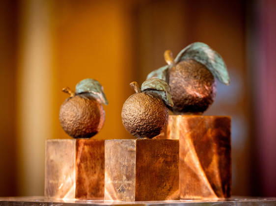 Presentation of the Appeltjes van Oranje awards. The Hague, The Netherlands. 8 Oct 2026 at the presentation of the Appeltjes van Oranje awards at Noordeinde Palace in The Hague. The Hague The Netherlands Copyright: xDPPA ANx