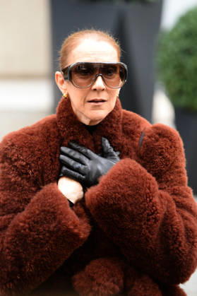 Céline Dion greets her fans as she leaves the Royal Monceau hotel in Paris, before heading to La Plenitude Arena in Paris La Défense to continue her concert series on October 9, 2026. The night before, the Quebec star stumbled on stage and then forgot some of the lyrics to her song, Pour que tu m’aimes encore during the finale of her show. Clément Prioli, Bestimage. Céline Dion greets fans as she leaves the Royal Monceau Hotel in Paris, before heading to the Paris La Défense Arena to continue her concert series on October 9, 2026. The previous evening, the Quebec star stumbled on stage and forgot some of the lyrics to her song Pour que tu m’aimes encore during the show’s finale. Paris, France Copyright: xClà mentxPrioli BestimagexClà mentxPrioli Bestimagex