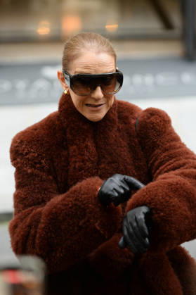 Céline Dion greets her fans as she leaves the Royal Monceau hotel in Paris, before heading to La Plenitude Arena in Paris La Défense to continue her concert series on October 9, 2026. The night before, the Quebec star stumbled on stage and then forgot some of the lyrics to her song, Pour que tu m’aimes encore during the finale of her show. Clément Prioli, Bestimage. Céline Dion greets fans as she leaves the Royal Monceau Hotel in Paris, before heading to the Paris La Défense Arena to continue her concert series on October 9, 2026. The previous evening, the Quebec star stumbled on stage and forgot some of the lyrics to her song Pour que tu m’aimes encore during the show’s finale. Paris, France Copyright: xClà mentxPrioli BestimagexClà mentxPrioli Bestimagex