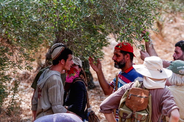 Clashes erupt between Israeli settlers and Palestinian farmers in West Bank RAMALLAH, WEST BANK - OCTOBER 9: Clashes break out between Israeli settlers, accompanied by Israeli soldiers, and Palestinian farmers harvesting olives in the town of Deir Ibzi, near Ramallah in West Bank, on October 9, 2026. The incident reportedly involved damage to olive crops and provocative actions by the settlers. Issam Rimawi Anadolu West Bank Palestine. Editorial use only. Please get in touch for any other usage. Copyright: x2026xAnadoluxIssamxRimawix