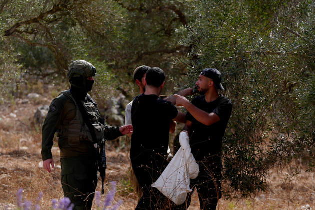 Clashes erupt between Israeli settlers and Palestinian farmers in West Bank RAMALLAH, WEST BANK - OCTOBER 9: Clashes break out between Israeli settlers, accompanied by Israeli soldiers, and Palestinian farmers harvesting olives in the town of Deir Ibzi, near Ramallah in West Bank, on October 9, 2026. The incident reportedly involved damage to olive crops and provocative actions by the settlers. Issam Rimawi Anadolu West Bank Palestine. Editorial use only. Please get in touch for any other usage. Copyright: x2026xAnadoluxIssamxRimawix
