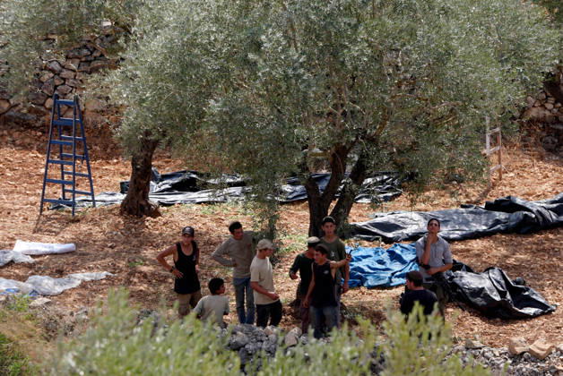 Clashes erupt between Israeli settlers and Palestinian farmers in West Bank RAMALLAH, WEST BANK - OCTOBER 9: Clashes break out between Israeli settlers, accompanied by Israeli soldiers, and Palestinian farmers harvesting olives in the town of Deir Ibzi, near Ramallah in West Bank, on October 9, 2026. The incident reportedly involved damage to olive crops and provocative actions by the settlers. Issam Rimawi Anadolu West Bank Palestine. Editorial use only. Please get in touch for any other usage. Copyright: x2026xAnadoluxIssamxRimawix
