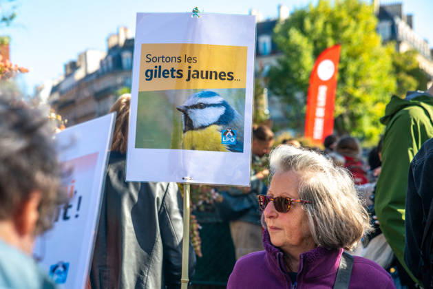 News Bilder des Tages Environmental Activists Protest EU Pesticide Regulation - Paris Environmental organizations including Greenpeace, Cancer Colere, Collectif de soutien aux victimes des pesticides, Confédération paysanne, Avenir Sante Environnement and Medecins du Monde gather at Place de l Europe in Paris, France on October 10, 2026, to oppose the EU s proposed Omnibus X regulation that would extend pesticide approval durations, with activists warning the text would increase exposure to hazardous substances for humans, ecosystems, food and territories. Photo by ABACAPRESS.COM Copyright: xPrezatxDenis ABACAx