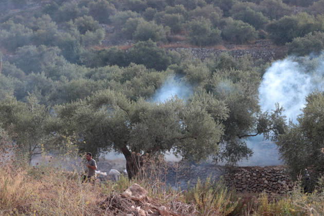 Israeli settlers attack Palestinians harvesting olives in West Bank RAMALLAH, PALESTINE - OCTOBER 10: Israeli settlers attack Palestinians harvesting olives in the village of Deir Abu Mashal, northwest of Ramallah in the West Bank, Palestine, on October 10, 2026. Israeli forces arriving at the scene intervene against Palestinians with tear gas, preventing them from continuing the olive harvest. Issam Rimawi Anadolu Ramallah West Bank. Editorial use only. Please get in touch for any other usage.  Copyright: x2026xAnadoluxIssamxRimawix