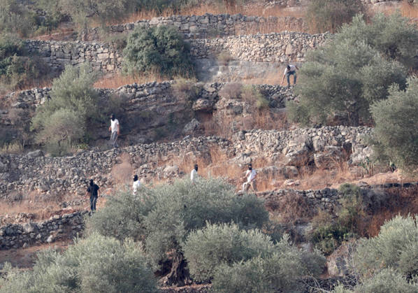 Israeli settlers attack Palestinians harvesting olives in West Bank RAMALLAH, PALESTINE - OCTOBER 10: Israeli settlers attack Palestinians harvesting olives in the village of Deir Abu Mashal, northwest of Ramallah in the West Bank, Palestine, on October 10, 2026. Israeli forces arriving at the scene intervene against Palestinians with tear gas, preventing them from continuing the olive harvest. Issam Rimawi Anadolu Ramallah West Bank. Editorial use only. Please get in touch for any other usage.  Copyright: x2026xAnadoluxIssamxRimawix