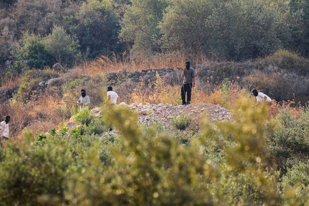 Israeli settlers and forces attack farmers during olive harvest in Deir Abu Mash™al DEIR ABU MASH™AL, PALESTINE OCTOBER 10, 2026: Palestinian farmers came under attack by Israeli settlers and Israeli forces as they headed to harvest olives on their land in Deir Abu Mash™al, northwest of Ramallah. The event marked the village™s first olive harvest gathering of the new season. The Palestine Red Crescent Society reported that its teams treated nine people injured during the incident. The injuries included one caused by live ammunition to the thigh, two caused by rubber-coated metal bullets, and six resulting from physical assault. One of those struck by a rubber-coated metal bullet was photojournalist Issam Al-Rimawi. The incident Copyright: x xSalmanxMohsenxAlkhatibx xJNAxPressx