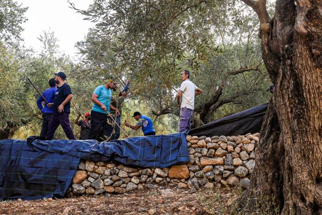 October 10, 2026, Ramallah: DEIR ABU MASHâ€⠢AL, PALESTINE †OCTOBER 10, 2026: Palestinian farmers came under attack by Israeli settlers and Israeli forces as they headed to harvest olives on their land in Deir Abu Mashâ€⠢al, northwest of Ramallah. The event marked the villageâ€⠢s first olive harvest gathering of the new season. The Palestine Red Crescent Society reported that its teams treated nine people injured during the incident. The injuries included one caused by live ammunition to the thigh, two caused by rubber-coated metal bullets, and six resulting from physical assault. One of those struck by a rubber-coated metal bullet was photojournalist Issam Al-Rimawi. The incident occurred during the annual olive harve - ZUMAq101 20261010_zna_q101_050 Copyright: xSalmanxMohsenxAlkhatibx