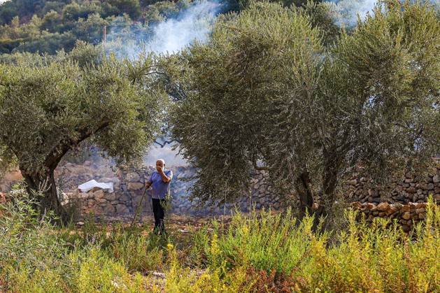 October 10, 2026, Ramallah: DEIR ABU MASHâ€⠢AL, PALESTINE †OCTOBER 10, 2026: Palestinian farmers came under attack by Israeli settlers and Israeli forces as they headed to harvest olives on their land in Deir Abu Mashâ€⠢al, northwest of Ramallah. The event marked the villageâ€⠢s first olive harvest gathering of the new season. The Palestine Red Crescent Society reported that its teams treated nine people injured during the incident. The injuries included one caused by live ammunition to the thigh, two caused by rubber-coated metal bullets, and six resulting from physical assault. One of those struck by a rubber-coated metal bullet was photojournalist Issam Al-Rimawi. The incident occurred during the annual olive harve - ZUMAq101 20261010_zna_q101_056 Copyright: xSalmanxMohsenxAlkhatibx
