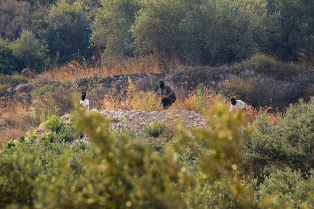 October 10, 2026, Ramallah: DEIR ABU MASHâ€⠢AL, PALESTINE †OCTOBER 10, 2026: Palestinian farmers came under attack by Israeli settlers and Israeli forces as they headed to harvest olives on their land in Deir Abu Mashâ€⠢al, northwest of Ramallah. The event marked the villageâ€⠢s first olive harvest gathering of the new season. The Palestine Red Crescent Society reported that its teams treated nine people injured during the incident. The injuries included one caused by live ammunition to the thigh, two caused by rubber-coated metal bullets, and six resulting from physical assault. One of those struck by a rubber-coated metal bullet was photojournalist Issam Al-Rimawi. The incident occurred during the annual olive harve - ZUMAq101 20261010_zna_q101_066 Copyright: xSalmanxMohsenxAlkhatibx