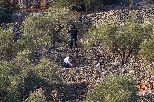 October 10, 2026, Ramallah: DEIR ABU MASHâ€⠢AL, PALESTINE †OCTOBER 10, 2026: Palestinian farmers came under attack by Israeli settlers and Israeli forces as they headed to harvest olives on their land in Deir Abu Mashâ€⠢al, northwest of Ramallah. The event marked the villageâ€⠢s first olive harvest gathering of the new season. The Palestine Red Crescent Society reported that its teams treated nine people injured during the incident. The injuries included one caused by live ammunition to the thigh, two caused by rubber-coated metal bullets, and six resulting from physical assault. One of those struck by a rubber-coated metal bullet was photojournalist Issam Al-Rimawi. The incident occurred during the annual olive harve - ZUMAq101 20261010_zna_q101_068 Copyright: xSalmanxMohsenxAlkhatibx