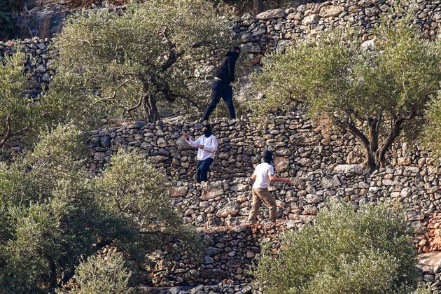 October 10, 2026, Ramallah: DEIR ABU MASHâ€⠢AL, PALESTINE †OCTOBER 10, 2026: Palestinian farmers came under attack by Israeli settlers and Israeli forces as they headed to harvest olives on their land in Deir Abu Mashâ€⠢al, northwest of Ramallah. The event marked the villageâ€⠢s first olive harvest gathering of the new season. The Palestine Red Crescent Society reported that its teams treated nine people injured during the incident. The injuries included one caused by live ammunition to the thigh, two caused by rubber-coated metal bullets, and six resulting from physical assault. One of those struck by a rubber-coated metal bullet was photojournalist Issam Al-Rimawi. The incident occurred during the annual olive harve - ZUMAq101 20261010_zna_q101_070 Copyright: xSalmanxMohsenxAlkhatibx