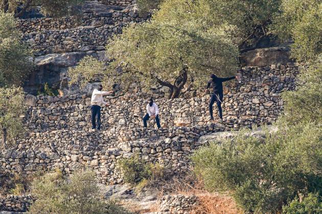 October 10, 2026, Ramallah: DEIR ABU MASHâ€⠢AL, PALESTINE †OCTOBER 10, 2026: Palestinian farmers came under attack by Israeli settlers and Israeli forces as they headed to harvest olives on their land in Deir Abu Mashâ€⠢al, northwest of Ramallah. The event marked the villageâ€⠢s first olive harvest gathering of the new season. The Palestine Red Crescent Society reported that its teams treated nine people injured during the incident. The injuries included one caused by live ammunition to the thigh, two caused by rubber-coated metal bullets, and six resulting from physical assault. One of those struck by a rubber-coated metal bullet was photojournalist Issam Al-Rimawi. The incident occurred during the annual olive harve - ZUMAq101 20261010_zna_q101_072 Copyright: xSalmanxMohsenxAlkhatibx