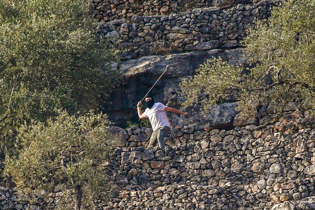 October 10, 2026, Ramallah: DEIR ABU MASHâ€⠢AL, PALESTINE †OCTOBER 10, 2026: Palestinian farmers came under attack by Israeli settlers and Israeli forces as they headed to harvest olives on their land in Deir Abu Mashâ€⠢al, northwest of Ramallah. The event marked the villageâ€⠢s first olive harvest gathering of the new season. The Palestine Red Crescent Society reported that its teams treated nine people injured during the incident. The injuries included one caused by live ammunition to the thigh, two caused by rubber-coated metal bullets, and six resulting from physical assault. One of those struck by a rubber-coated metal bullet was photojournalist Issam Al-Rimawi. The incident occurred during the annual olive harve - ZUMAq101 20261010_zna_q101_073 Copyright: xSalmanxMohsenxAlkhatibx