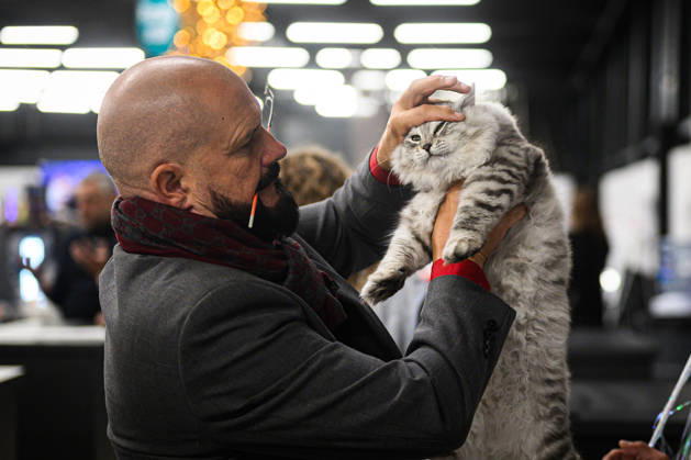 2026 WCF Jubilee Cat Show - Day 1 Owner holds his cat during the day one of 2026 WCF Jubilee Cat Show in Zagreb, Croatia on October 10, 2026. DavorxPuklavec PIXSELL