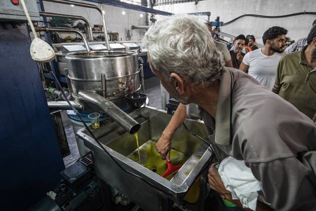 Olive harvest in Gaza despite destruction and access restrictions GAZA STRIP, GAZA, PALESTINE - OCTOBER 11: People work at an olive press facility west of Al-Zawayda as olive oil production continues in the Gaza Strip, Palestine, on October 11, 2026. Palestinian farmers harvest olives from the few trees left standing after Israeli attacks caused extensive damage to agricultural land across the territory, while access to fields in areas designated as the Yellow Line remains restricted. Adam Bilal Anadolu Gaza Gaza. Editorial use only. Please get in touch for any other usage.  Copyright: x2026xAnadoluxAdamxBilalx
