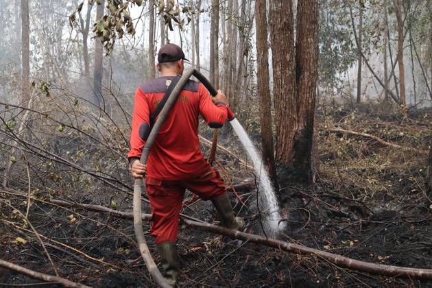 October 11, 2026, Kalimantan, Indonesia: PALANGKA RAYA, CENTRAL KALIMANTAN, INDONESIA, OCTOBER 11, 2026: Members of Indonesia s Manggala Agni forest fire brigade work to extinguish a forest fire in the Sebangau area of Palangka Raya, Central Kalimantan. The firefighting team has been responding to fires affecting forests and community land in the region during the dry season. Kalimantan Indonesia - ZUMAq101 20261011_zna_q101_120 Copyright: xReginaxSafrix
