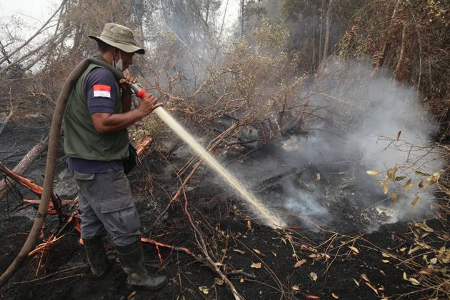 October 11, 2026, Kalimantan, Indonesia: PALANGKA RAYA, CENTRAL KALIMANTAN, INDONESIA, OCTOBER 11, 2026: Members of Indonesia s Manggala Agni forest fire brigade work to extinguish a forest fire in the Sebangau area of Palangka Raya, Central Kalimantan. The firefighting team has been responding to fires affecting forests and community land in the region during the dry season. Kalimantan Indonesia - ZUMAq101 20261011_zna_q101_121 Copyright: xReginaxSafrix