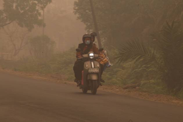October 11, 2026, Kalimantan, Indonesia: PALANGKA RAYA, CENTRAL KALIMANTAN, INDONESIA, OCTOBER 11, 2026: Members of Indonesia s Manggala Agni forest fire brigade work to extinguish a forest fire in the Sebangau area of Palangka Raya, Central Kalimantan. The firefighting team has been responding to fires affecting forests and community land in the region during the dry season. Kalimantan Indonesia - ZUMAq101 20261011_zna_q101_125 Copyright: xReginaxSafrix