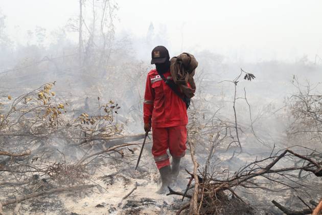 October 11, 2026, Kalimantan, Indonesia: PALANGKA RAYA, CENTRAL KALIMANTAN, INDONESIA, OCTOBER 11, 2026: Members of Indonesia s Manggala Agni forest fire brigade work to extinguish a forest fire in the Sebangau area of Palangka Raya, Central Kalimantan. The firefighting team has been responding to fires affecting forests and community land in the region during the dry season. Kalimantan Indonesia - ZUMAq101 20261011_zna_q101_122 Copyright: xReginaxSafrix