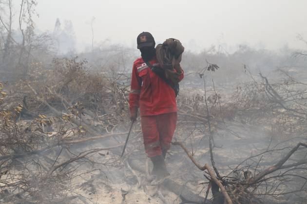 October 11, 2026, Kalimantan, Indonesia: PALANGKA RAYA, CENTRAL KALIMANTAN, INDONESIA, OCTOBER 11, 2026: Members of Indonesia s Manggala Agni forest fire brigade work to extinguish a forest fire in the Sebangau area of Palangka Raya, Central Kalimantan. The firefighting team has been responding to fires affecting forests and community land in the region during the dry season. Kalimantan Indonesia - ZUMAq101 20261011_zna_q101_123 Copyright: xReginaxSafrix