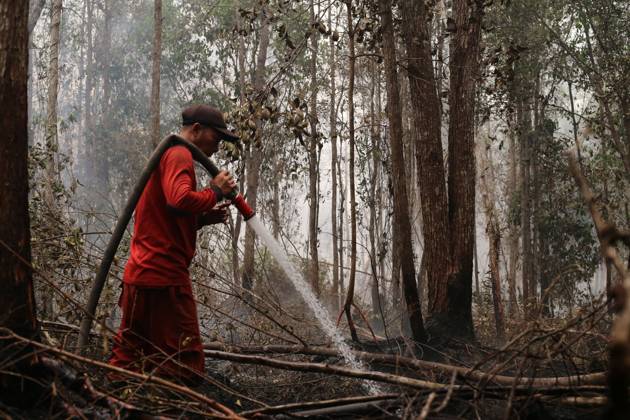 October 11, 2026, Kalimantan, Indonesia: PALANGKA RAYA, CENTRAL KALIMANTAN, INDONESIA, OCTOBER 11, 2026: Members of Indonesia s Manggala Agni forest fire brigade work to extinguish a forest fire in the Sebangau area of Palangka Raya, Central Kalimantan. The firefighting team has been responding to fires affecting forests and community land in the region during the dry season. Kalimantan Indonesia - ZUMAq101 20261011_zna_q101_126 Copyright: xReginaxSafrix