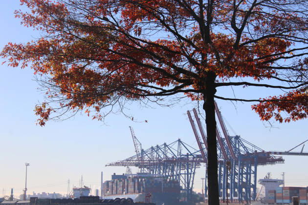 Feature: The Economy in Fall 2026