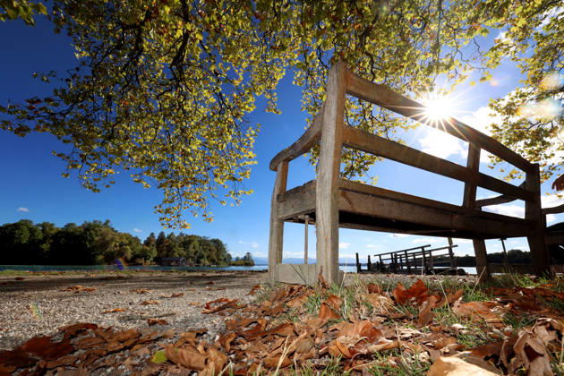 An autumn day in Feldafing, Feldafinger Park, Starnberg District. Here is a view of Lake Starnberg with Roseninsel; in the foreground, a park bench, the sun, sunbeams glinting through the leaves, colorful trees, foliage colors, deciduous trees, autumnal, play of colors, autumn leaves, fall colors, lea