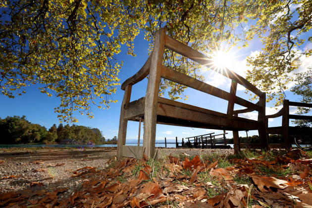 An autumn day in Feldafing, Feldafinger Park, Starnberg District. Here is a view of Lake Starnberg with Roseninsel; in the foreground, a park bench, the sun, sunbeams glinting through the leaves, colorful trees, foliage colors, deciduous trees, autumnal, play of colors, autumn leaves, autumn colors, l