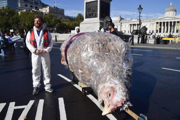 October 13, 2026, London, England, United Kingdom: Protesters pass through Trafalgar Square with a giant wrapped chicken during the march to Pret headquarters urging the fast food chain to drop Frankenchickens. Frankenchickens are chickens mostly raised on factory farms who are bred to grow much faster and who are said to suffer far more than regular chickens. London United Kingdom  - ZUMAv130 20261013_zip_v130_032 Copyright: xVukxValcicx
