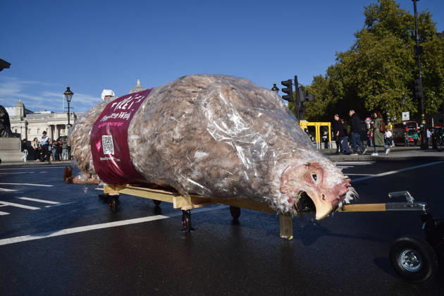 October 13, 2026, London, England, United Kingdom: Protesters pass through Trafalgar Square with a giant wrapped chicken during the march to Pret headquarters urging the fast food chain to drop Frankenchickens. Frankenchickens are chickens mostly raised on factory farms who are bred to grow much faster and who are said to suffer far more than regular chickens. London United Kingdom  - ZUMAv130 20261013_zip_v130_031 Copyright: xVukxValcicx