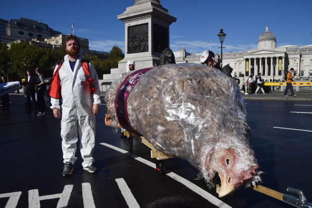 October 13, 2026, London, England, United Kingdom: Protesters pass through Trafalgar Square with a giant wrapped chicken during the march to Pret headquarters urging the fast food chain to drop Frankenchickens. Frankenchickens are chickens mostly raised on factory farms who are bred to grow much faster and who are said to suffer far more than regular chickens. London United Kingdom - ZUMAv130 20261013_zip_v130_030 Copyright: xVukxValcicx