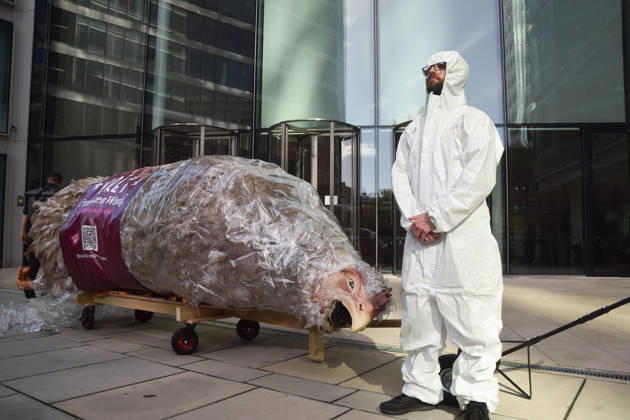October 13, 2026, London, England, United Kingdom: An activist stands next to a giant wrapped chicken outside Pret headquarters during a protest urging the fast food chain to drop Frankenchickens. Frankenchickens are chickens mostly raised on factory farms who are bred to grow much faster and who are said to suffer far more than regular chickens. London United Kingdom  - ZUMAv130 20261013_zip_v130_040 Copyright: xVukxValcicx