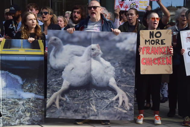 October 13, 2026, London, England, United Kingdom: Protesters gather outside Pret headquarters urging the fast food chain to drop Frankenchickens. Frankenchickens are chickens mostly raised on factory farms who are bred to grow much faster and who are said to suffer far more than regular chickens. London United Kingdom  - ZUMAv130 20261013_zip_v130_044 Copyright: xVukxValcicx