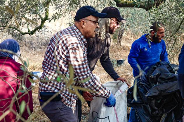 October 13, 2026, Ramallah: EIN YABRUD, WEST BANK, PALESTINE, OCTOBER 13, 2026: Palestinian residents and farmers harvest olives on their land in Ein Yabrud, east of Ramallah, in the occupied West Bank. Residents gathered to pick olives following reported settler attacks on farmers in the village in recent days. Ramallah - ZUMAq101 20261013_zna_q101_212 Copyright: xSalmanxMohsenxAlkhatibx
